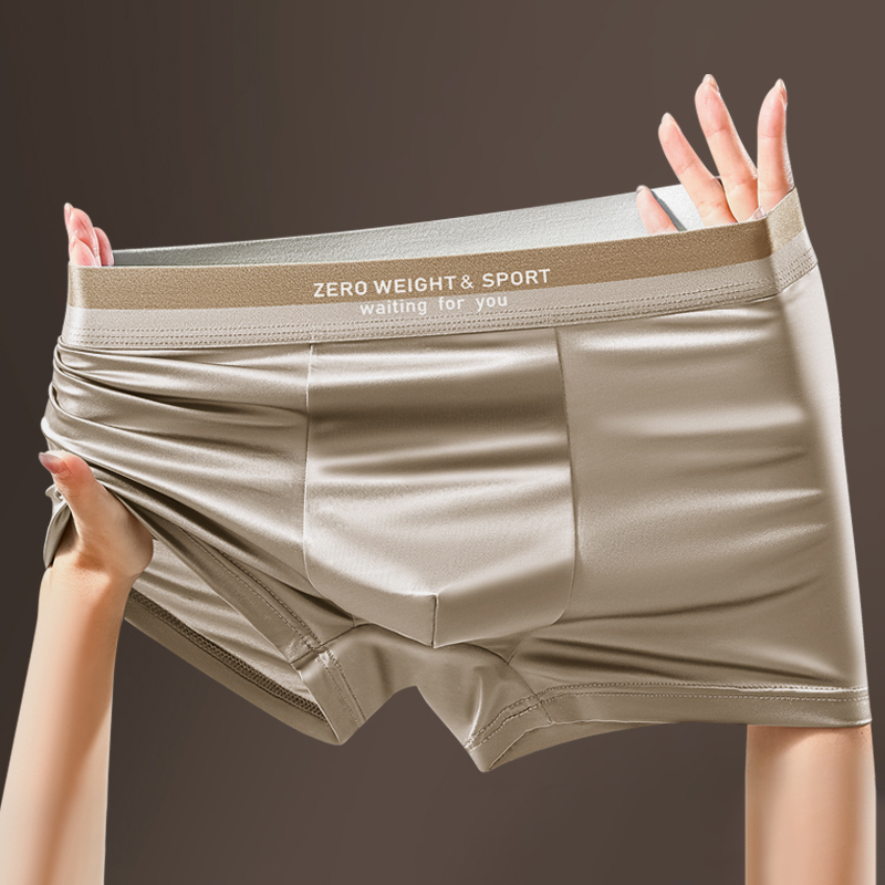 4 개/대 남성용 복서 반바지 아이스 실크 속옷 플러스 - Boxer Shorts Modal 리뷰 및 가격